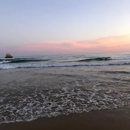 Cozy Apartment, 5 Min To Da Rocha, Algarve Apartmán *